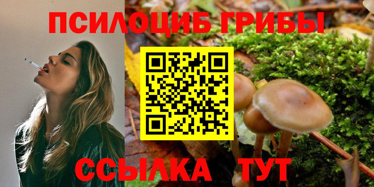 что такое   Вход с VPN  Кировск  Галлюциногенные грибы ЛСД  Галлюциногенные грибы Magic Shrooms 