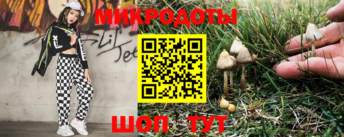 Галлюциногенные грибы Cubensis Кировск
